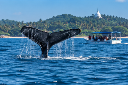Mirissa and Weligama beaches on Sri Lanka’s southern coast